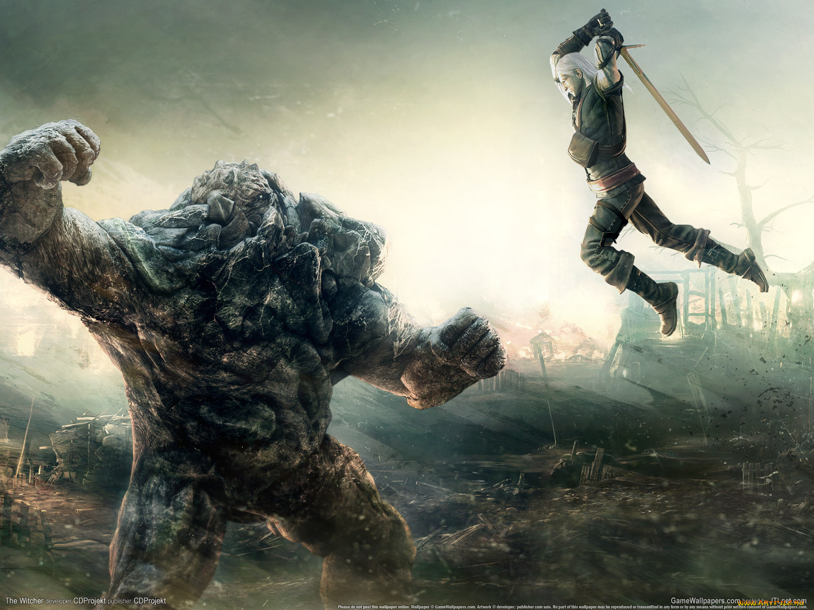 , , the, witcher